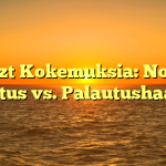 Boozt Kokemuksia: Nopea Toimitus vs. Palautushaasteet