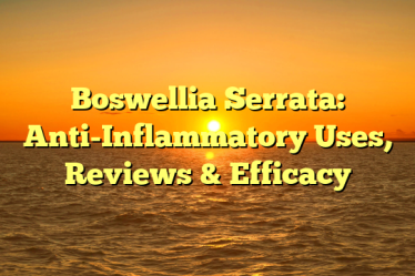 Boswellia Serrata: Anti-Inflammatory Uses, Reviews & Efficacy