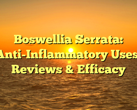 Boswellia Serrata: Anti-Inflammatory Uses, Reviews & Efficacy