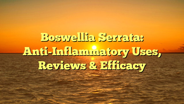 Boswellia Serrata: Anti-Inflammatory Uses, Reviews & Efficacy