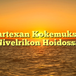 Cartexan Kokemuksia Nivelrikon Hoidossa
