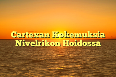 Cartexan Kokemuksia Nivelrikon Hoidossa