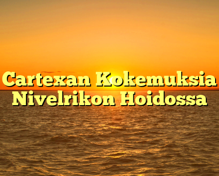 Cartexan Kokemuksia Nivelrikon Hoidossa