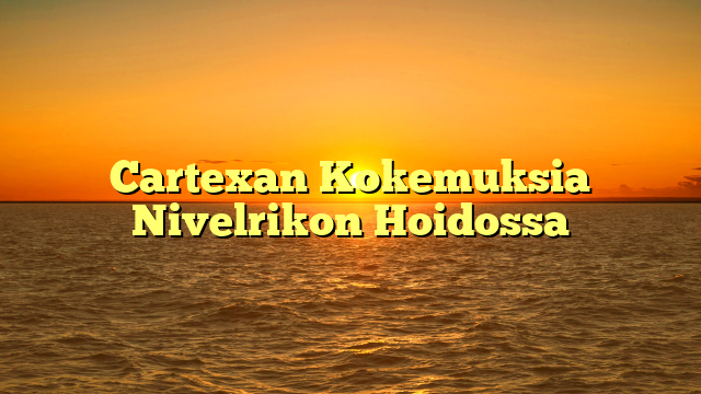 Cartexan Kokemuksia Nivelrikon Hoidossa
