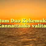 Fortum Duo Kokemuksia: Kannattaako valita?