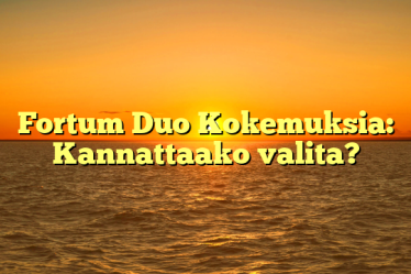Fortum Duo Kokemuksia: Kannattaako valita?