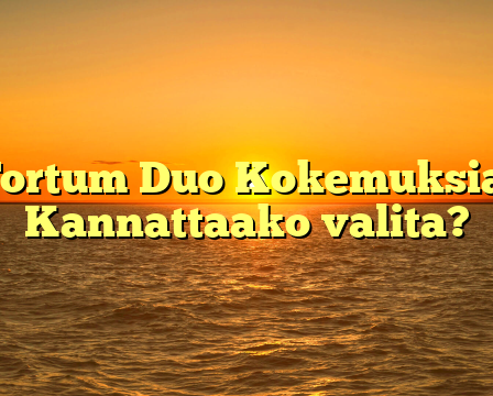Fortum Duo Kokemuksia: Kannattaako valita?