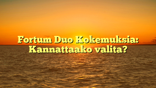 Fortum Duo Kokemuksia: Kannattaako valita?