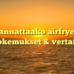 Kannattaako airfryer? Kokemukset & vertailu