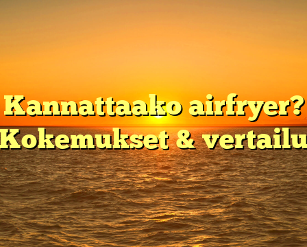 Kannattaako airfryer? Kokemukset & vertailu