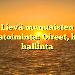 Lievä munuaisten vajaatoiminta: Oireet, hoito, hallinta