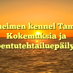 Merihelmen kennel Tampere: Kokemuksia ja pentutehtailuepäilyt