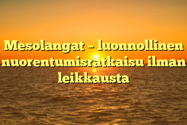 Mesolangat – luonnollinen nuorentumisratkaisu ilman leikkausta