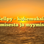 Sellpy – kokemuksia ostamisesta ja myymisestä