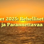 Sortter 2025: Rehelliset Edut ja Parannettavaa