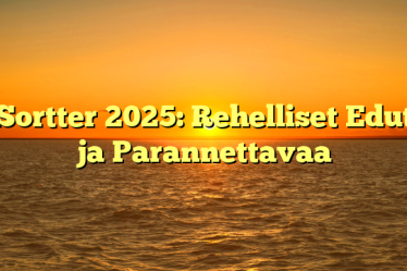Sortter 2025: Rehelliset Edut ja Parannettavaa