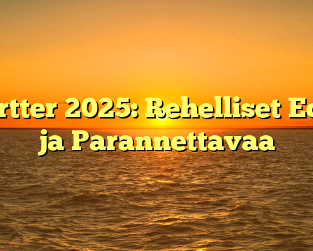 Sortter 2025: Rehelliset Edut ja Parannettavaa