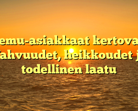 Temu-asiakkaat kertovat: Vahvuudet, heikkoudet ja todellinen laatu