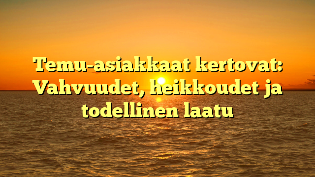 Temu-asiakkaat kertovat: Vahvuudet, heikkoudet ja todellinen laatu
