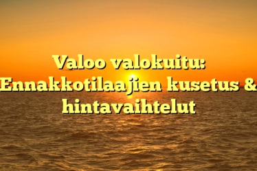 Valoo valokuitu: Ennakkotilaajien kusetus & hintavaihtelut