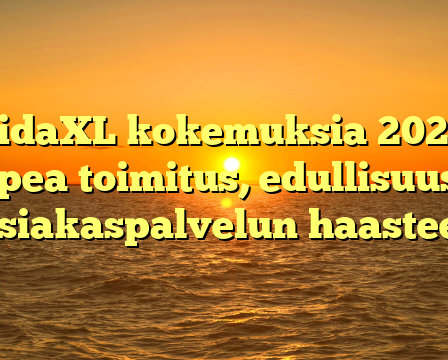 VidaXL kokemuksia 2025: Nopea toimitus, edullisuus ja asiakaspalvelun haasteet